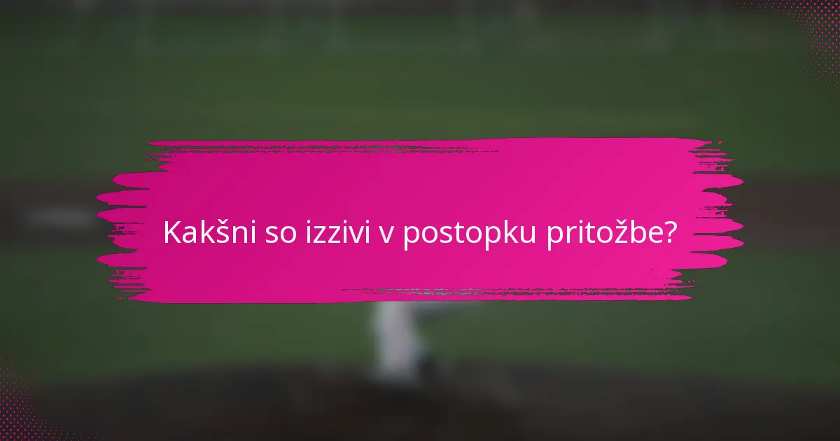 Kakšni so izzivi v postopku pritožbe?